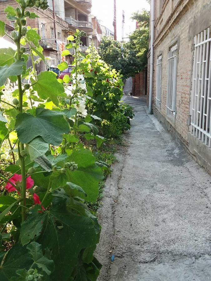 Гостевой дом Guest House Liana Тбилиси-17