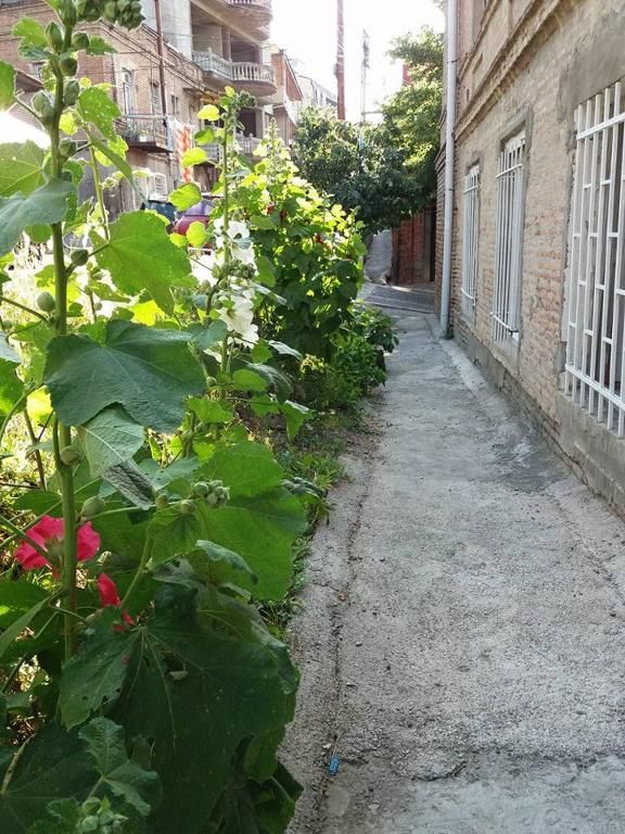 Гостевой дом Guest House Liana Тбилиси-26